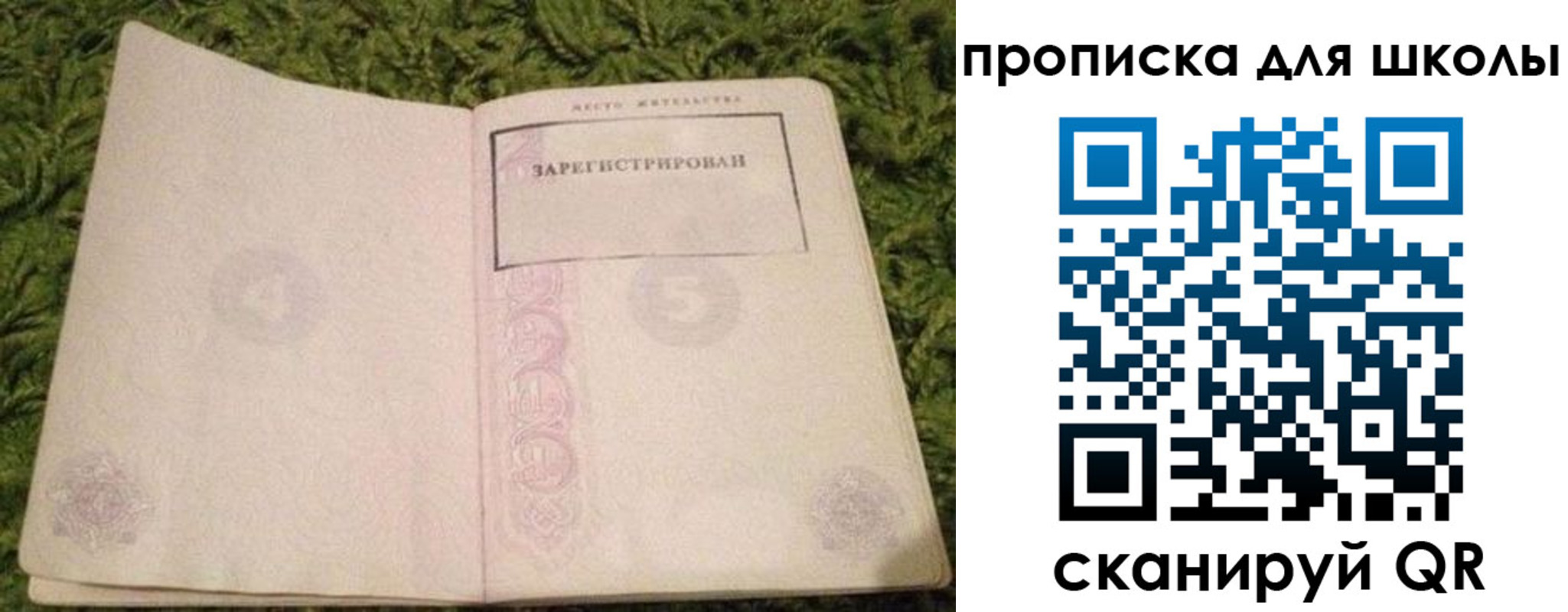 регистрация для школы в Кингисеппе